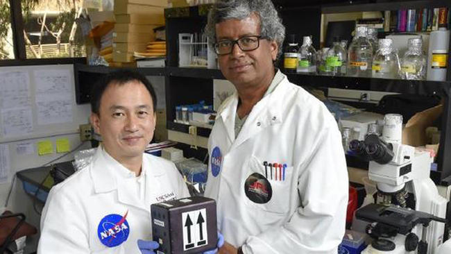 Big Pharma researchers launch fungi into space in hopes for new patentable drugs