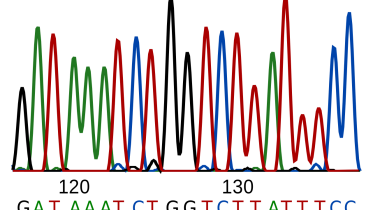 DNA_sequence.svg