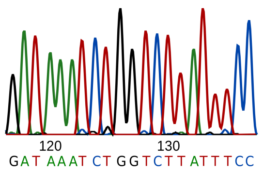DNA_sequence.svg